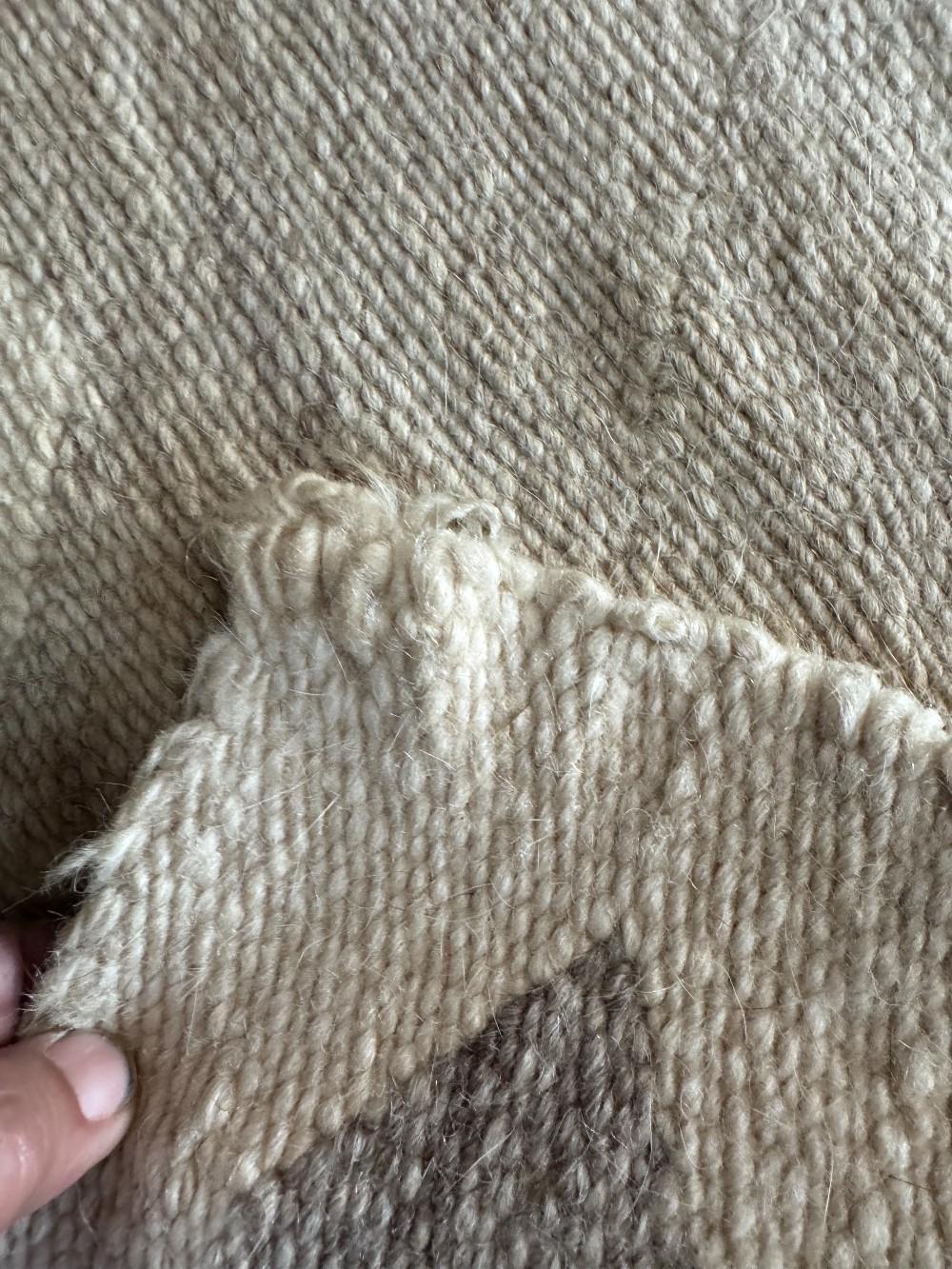 Transitional Navajo Rug (Late 19th-Early 20th Century)