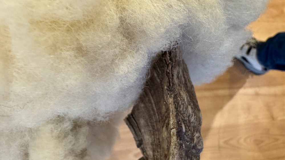 Sheep Footrest/Sculpture