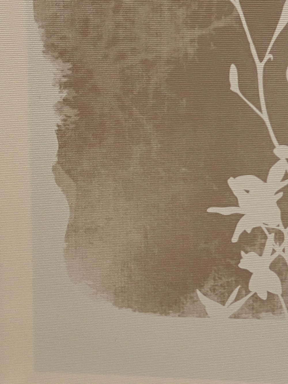 Framed Floral Silhouette and Geometric Artworks