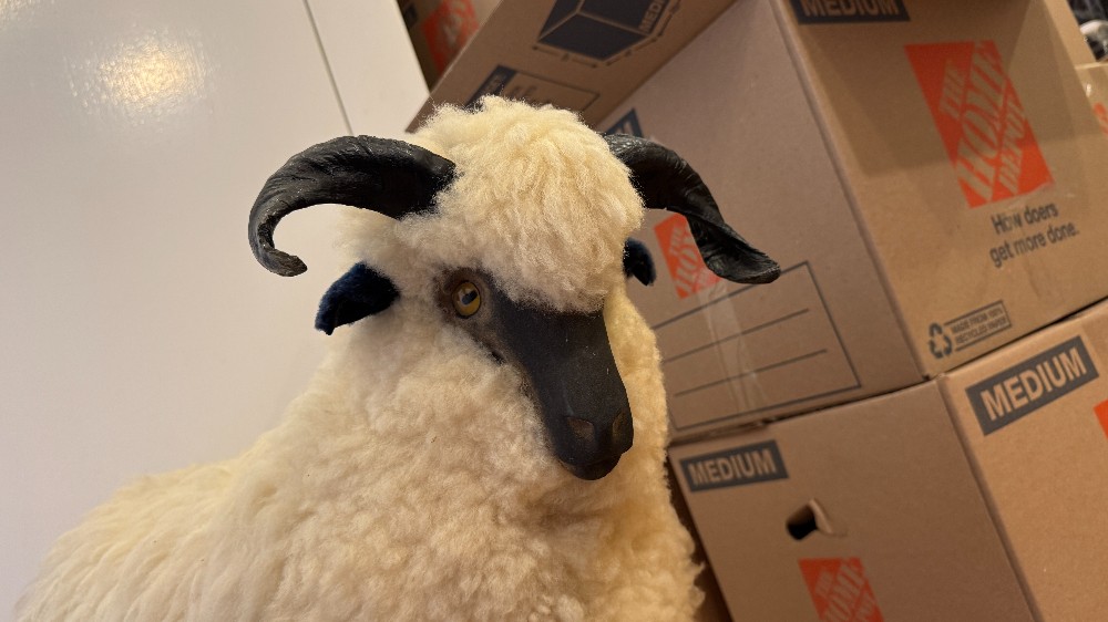 Sheep Footstool/Sculpture