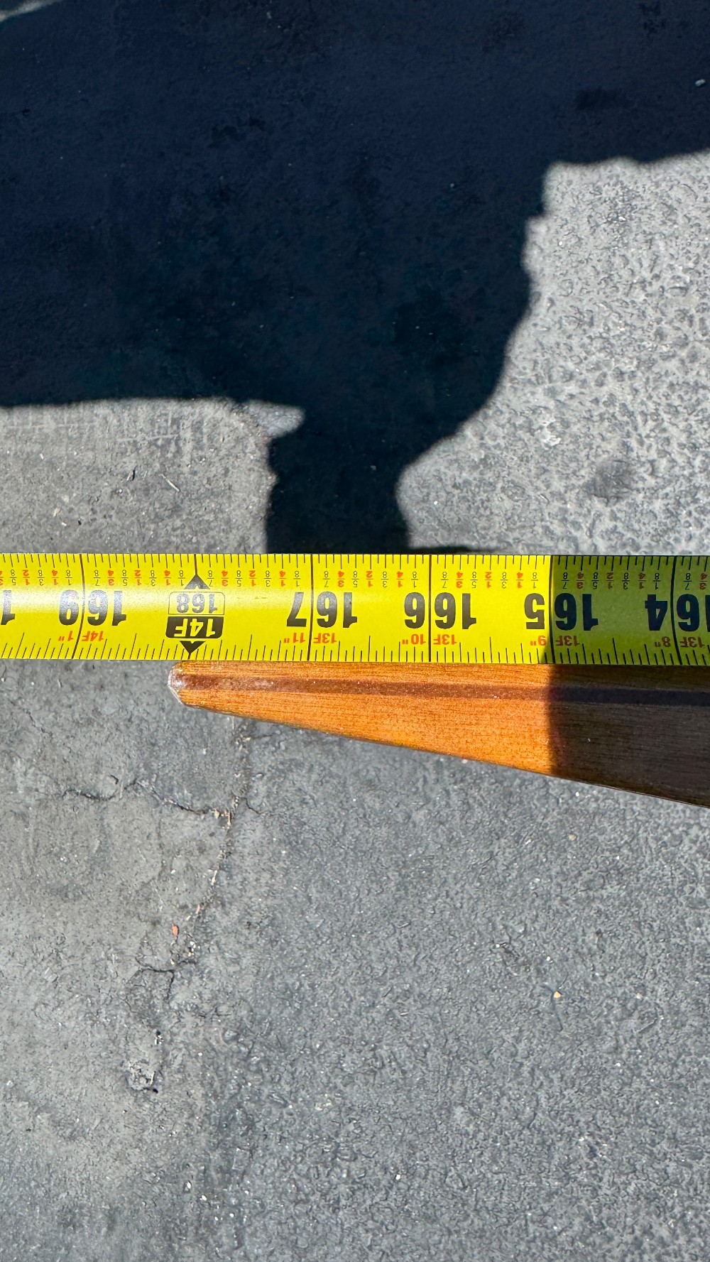 Pygmy Arctic Tern 14' Wooden Kayak