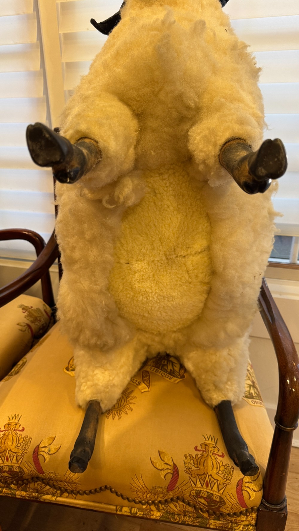 Sheep Footstool/Sculpture
