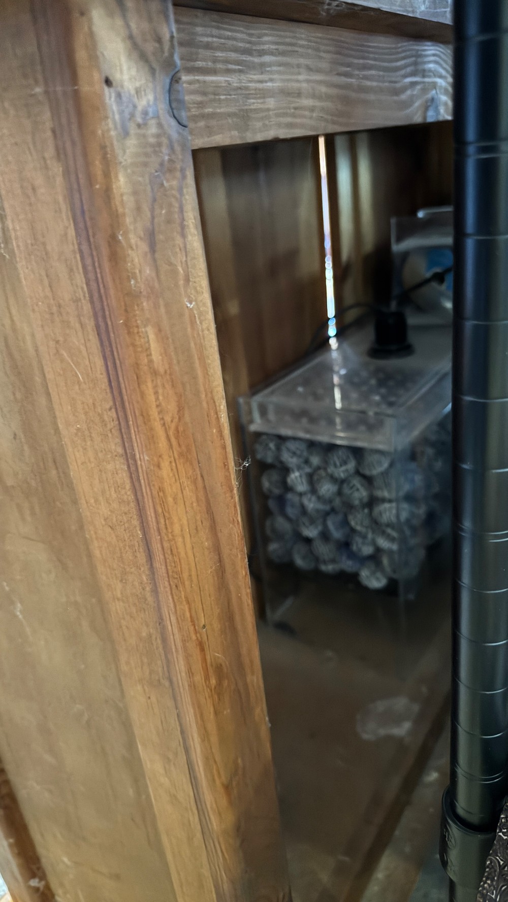 50 Gallon Aquarium with Wood Cabinet Stand and Supplies