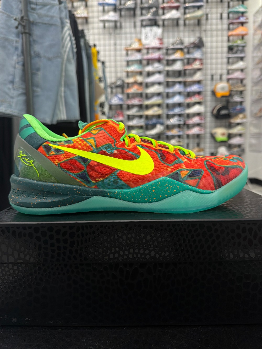 NIKE KOBE 8 PROTRO - WHAT THE (2025)