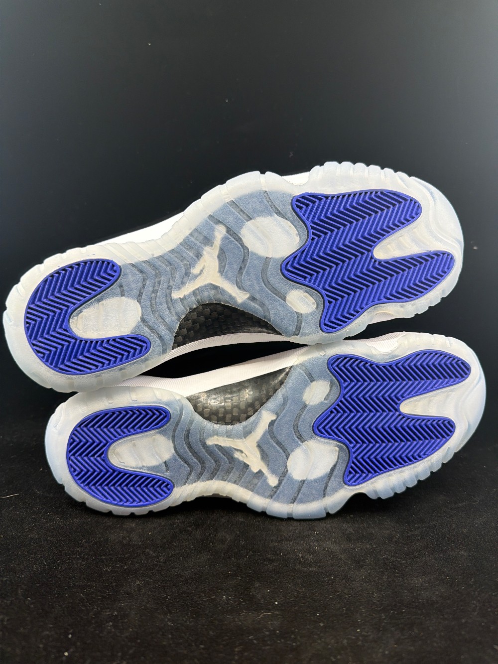 AJ 11 - SPACE JAM (2016)