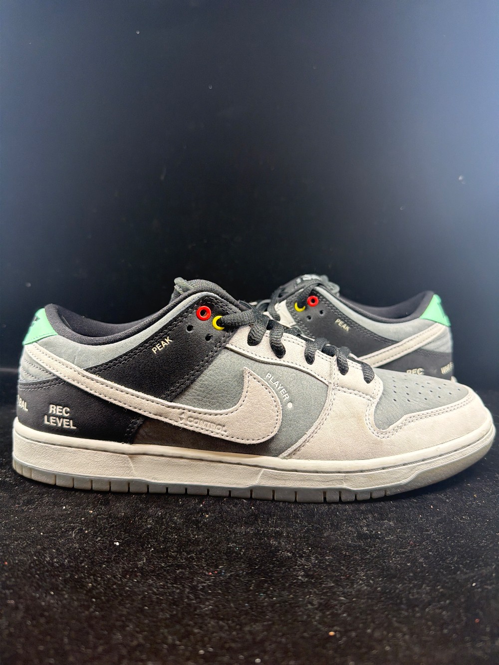 *USED* NIKE SB DUNK LOW - VX1000