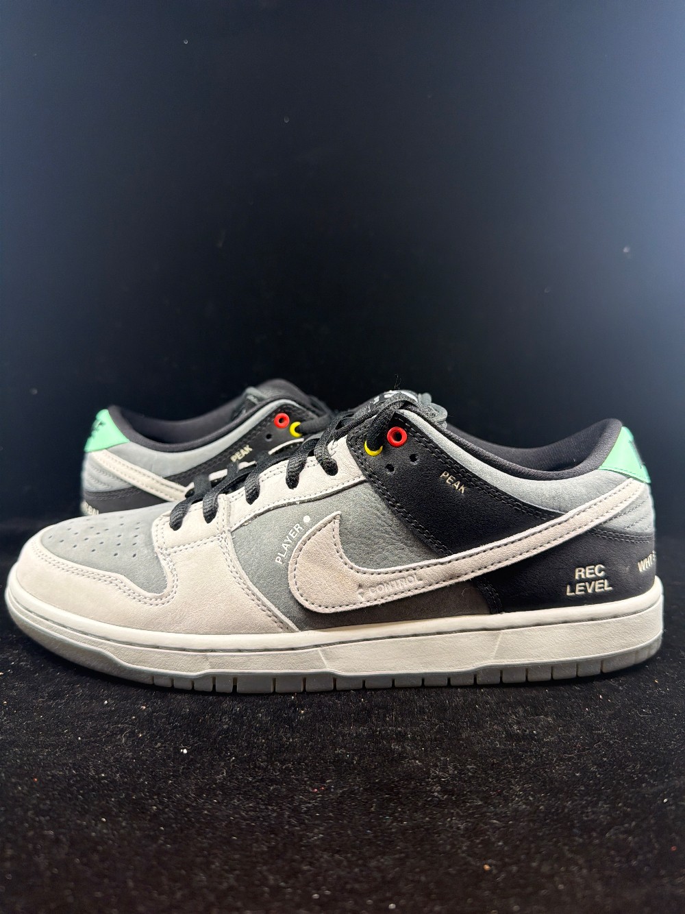 *USED* NIKE SB DUNK LOW - VX1000
