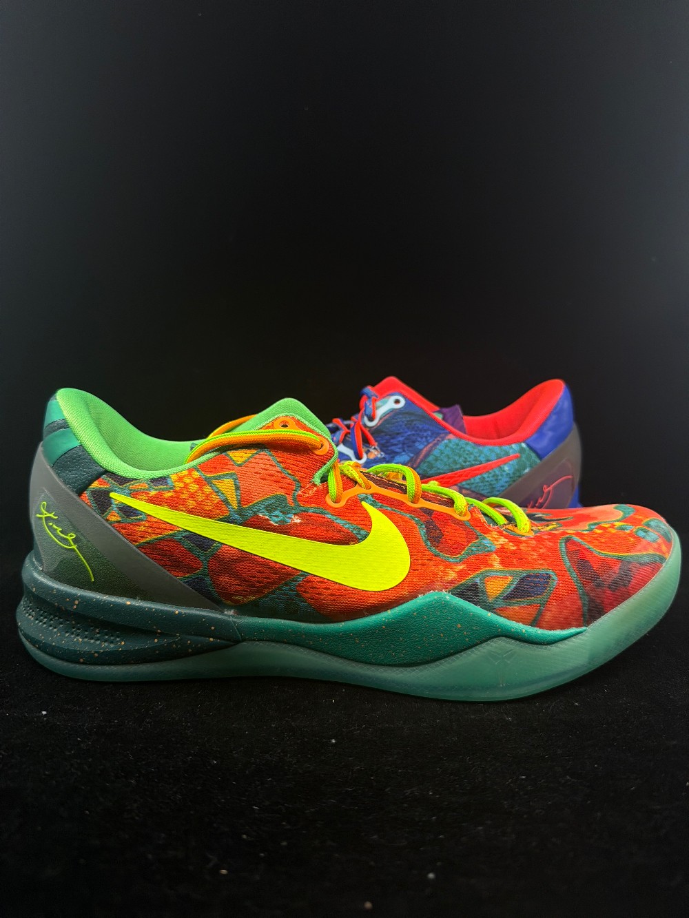 *USED* NIKE KOBE 8 PROTRO - WHAT THE (2025)