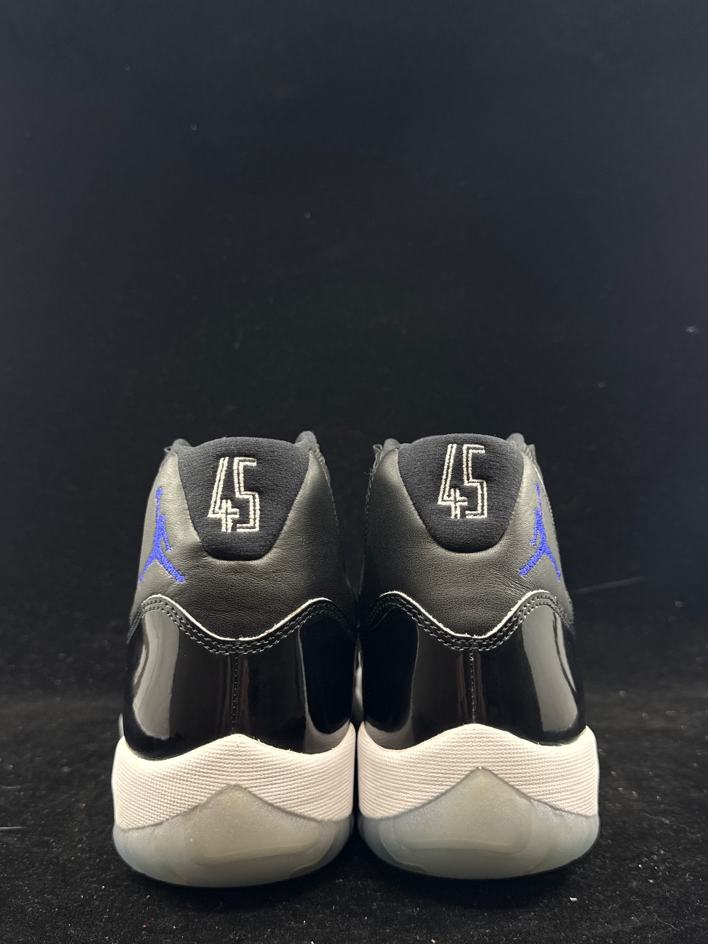 AJ 11 - SPACE JAM (2016)