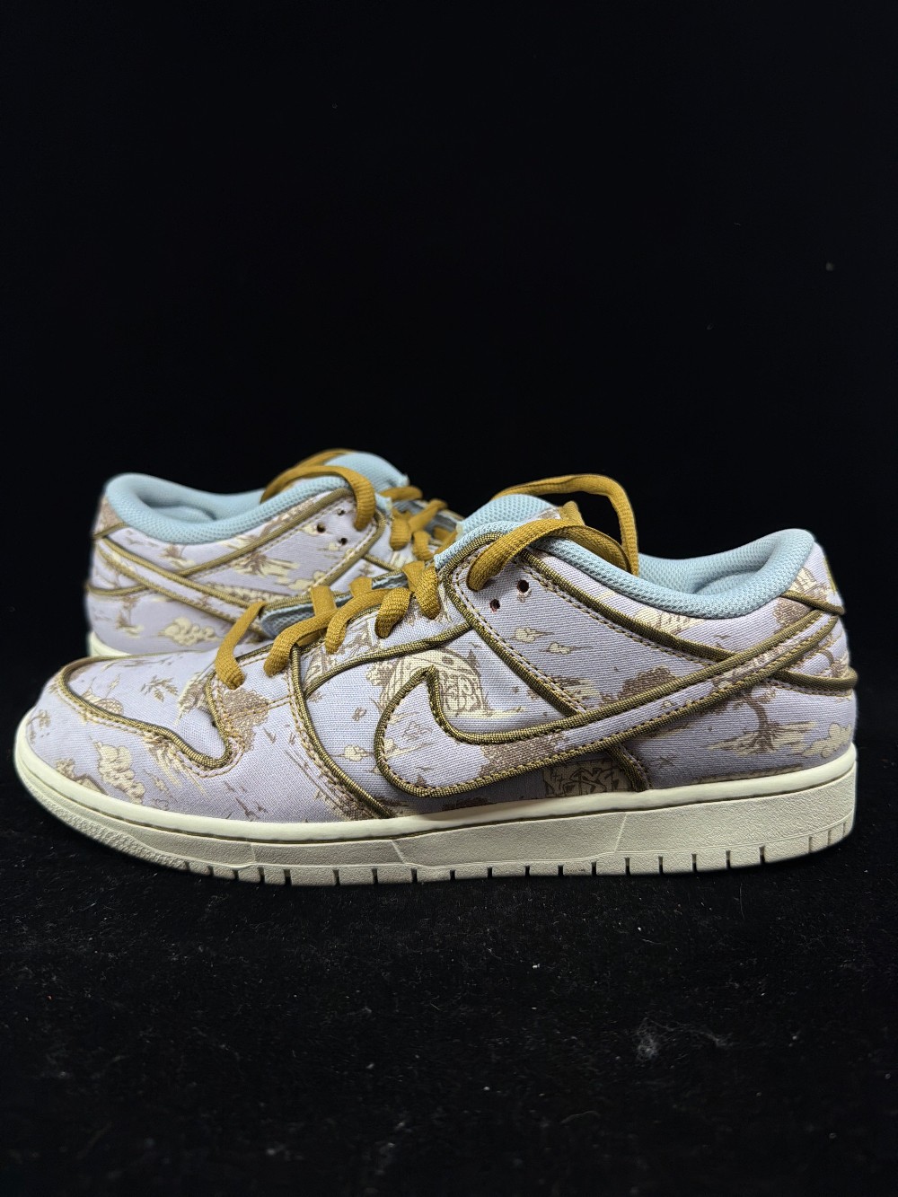 *USED* NIKE SB DUNK - CITY OF STYLE