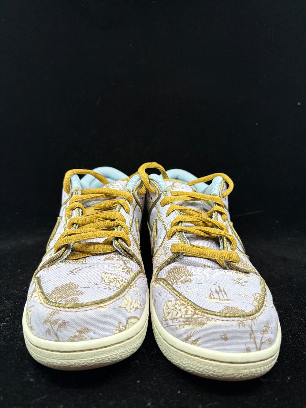 *USED* NIKE SB DUNK - CITY OF STYLE