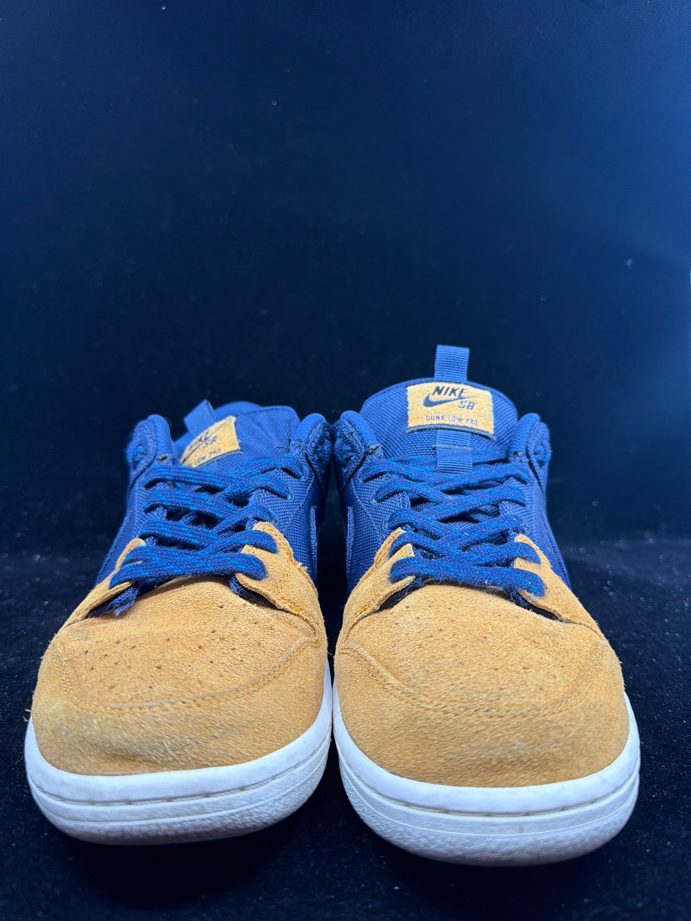 *USED* NIKE SB DUNK - PRM BACKPACK