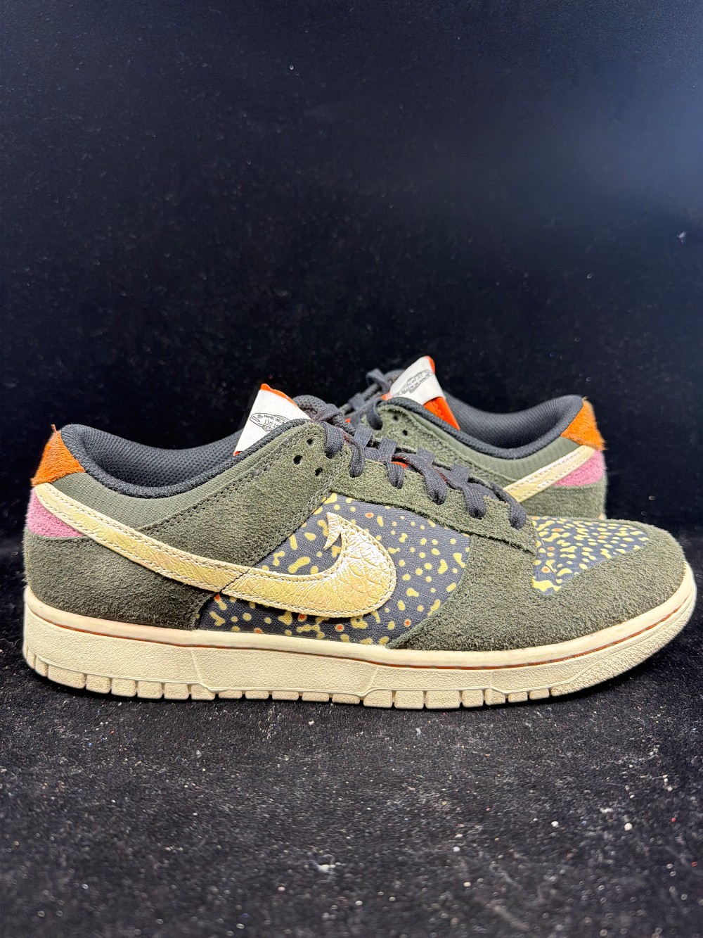 *USED* NIKE DUNK LOW - GONE FISHING RAINBOW TROUT