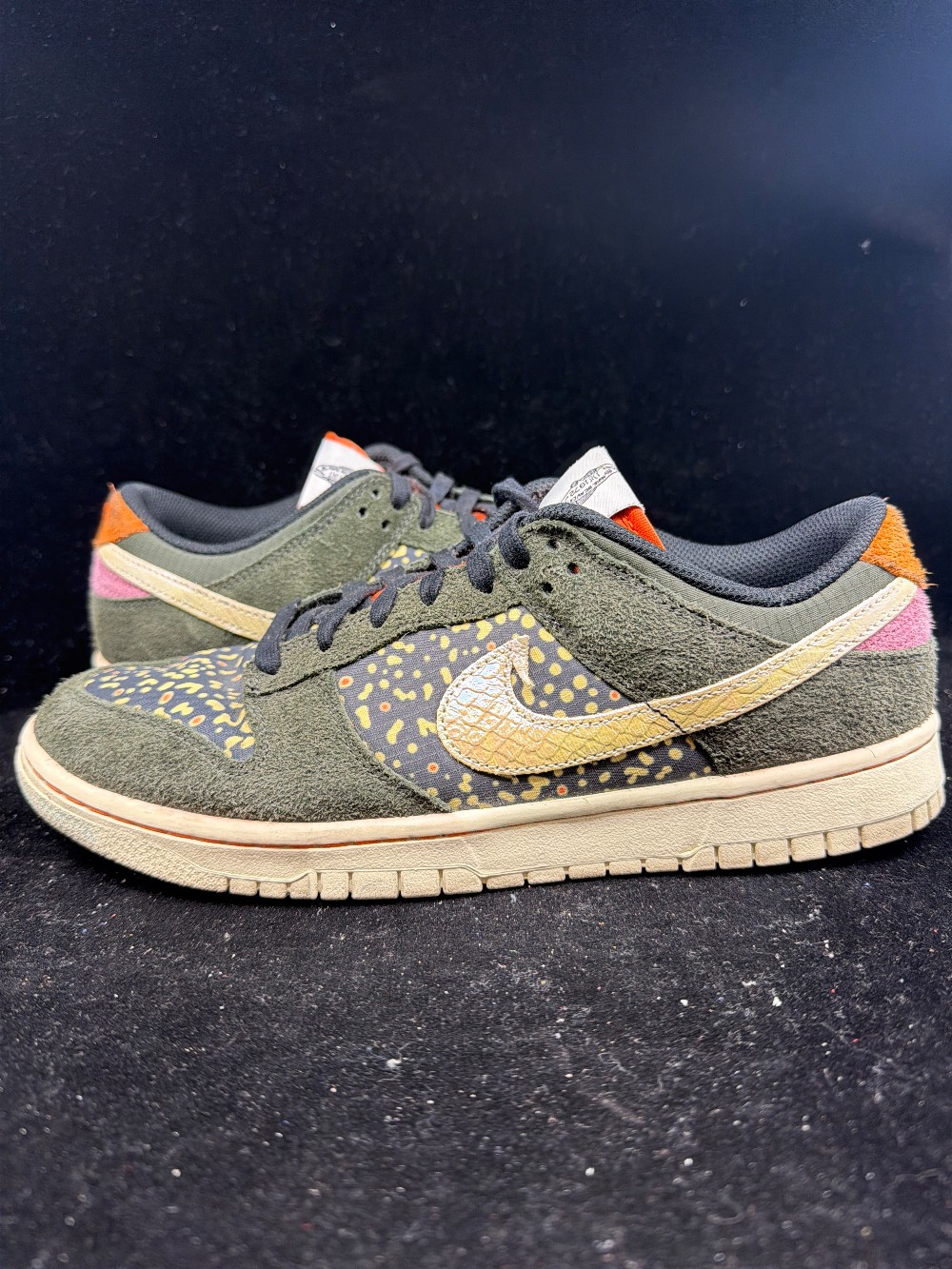 *USED* NIKE DUNK LOW - GONE FISHING RAINBOW TROUT