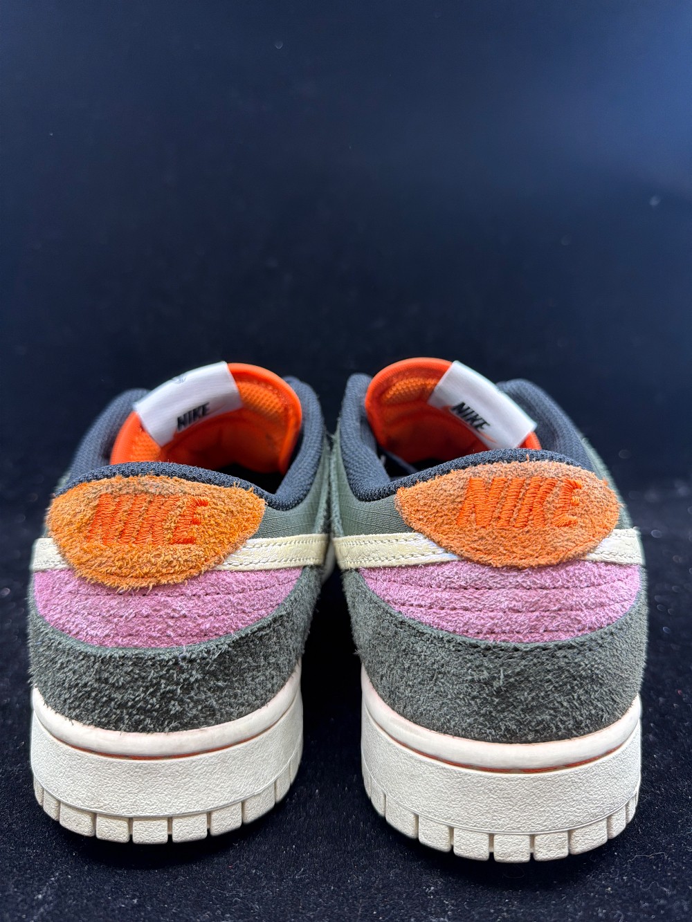 *USED* NIKE DUNK LOW - GONE FISHING RAINBOW TROUT