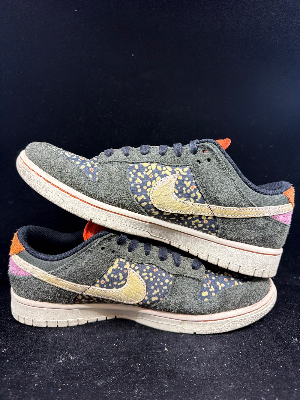 *USED* NIKE DUNK LOW - GONE FISHING RAINBOW TROUT