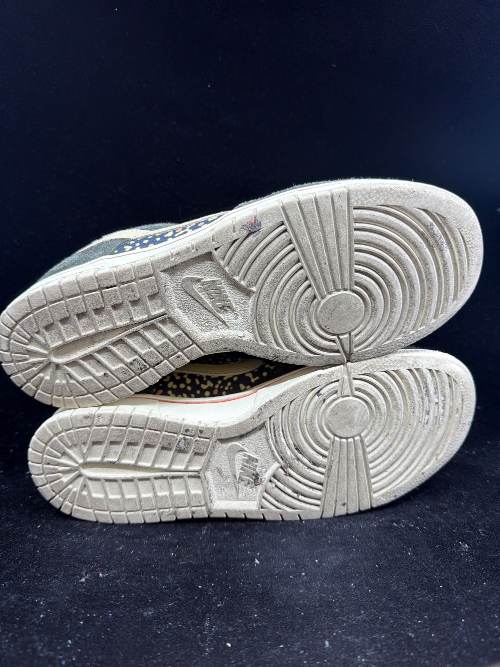 *USED* NIKE DUNK LOW - GONE FISHING RAINBOW TROUT