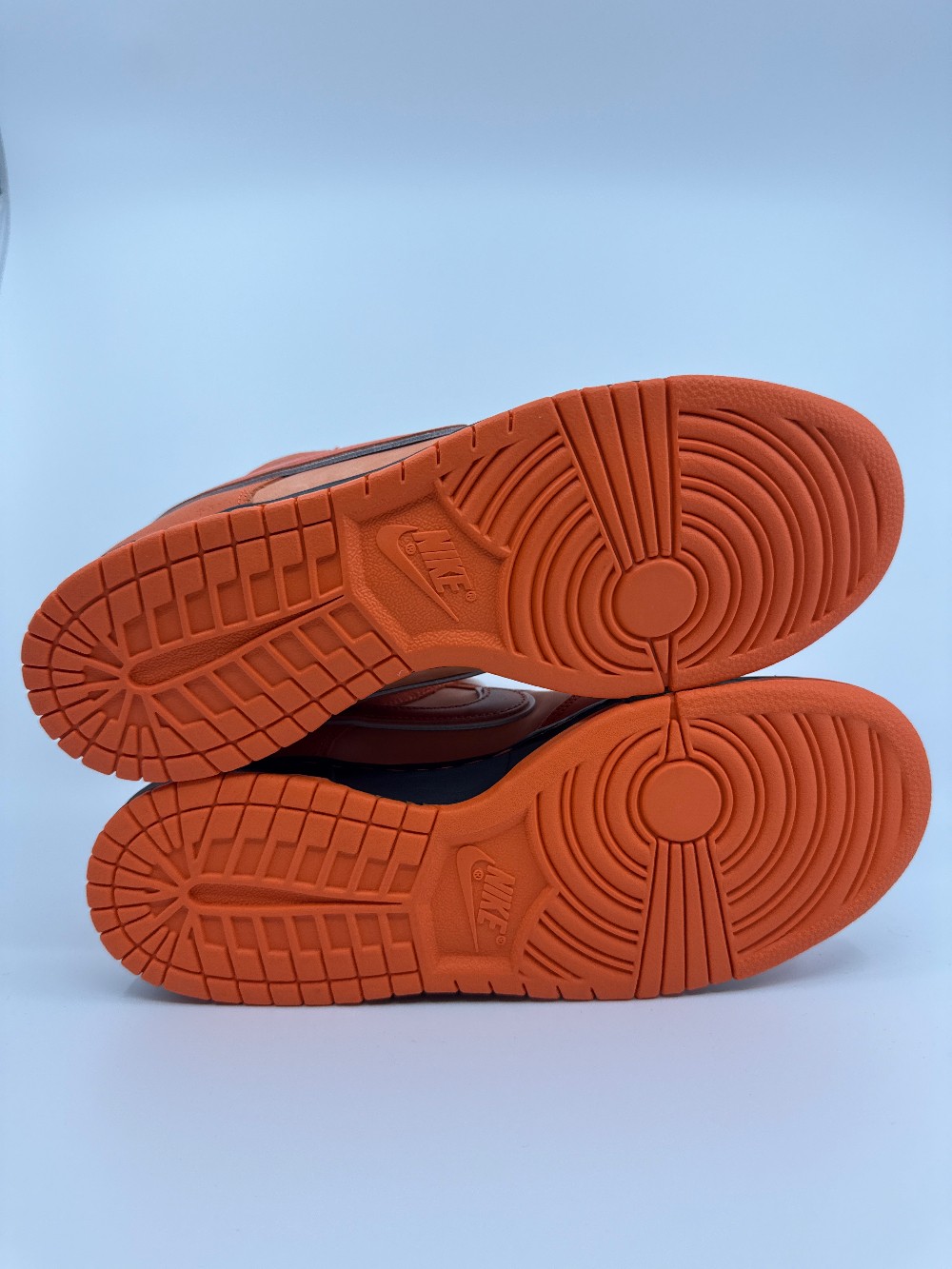 NIKE SB DUNK LOW X CONCEPTS - ORANGE LOBSTER