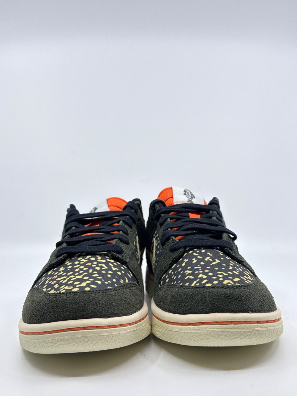 NIKE DUNK LOW - GONE FISHING RAINBOW TROUT
