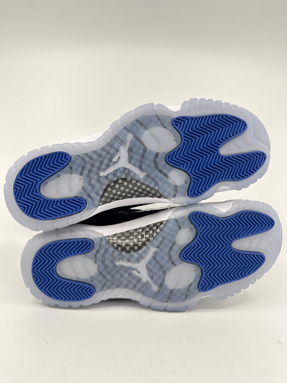 AJ 11 - SPACE JAM