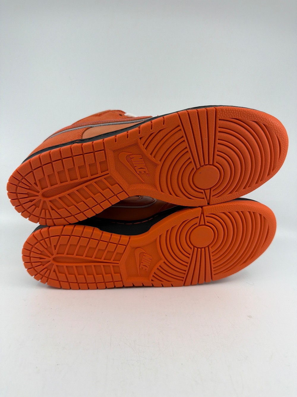 NIKE SB DUNK LOW X CONCEPTS - ORANGE LOBSTER