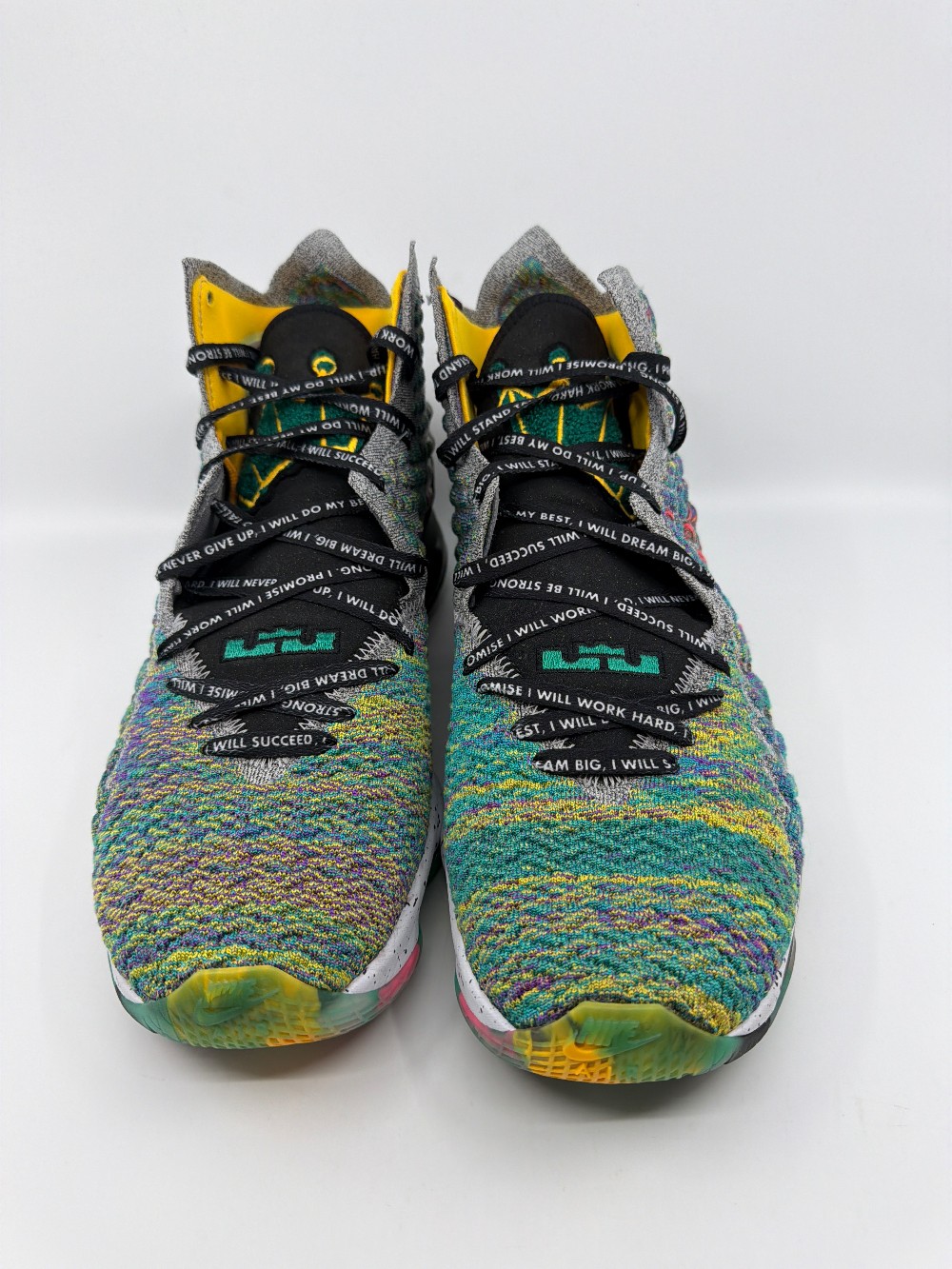 *VNDS* NIKE LEBRON 17 - I PROMISE