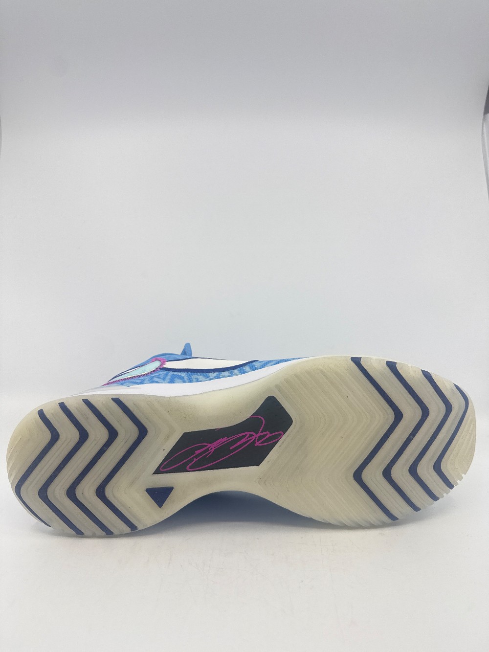 *VNDS/NO BOX* NIKE ZOOM LEBRON NXXT GENISUS - UNIVERSITY BLUE WHITE