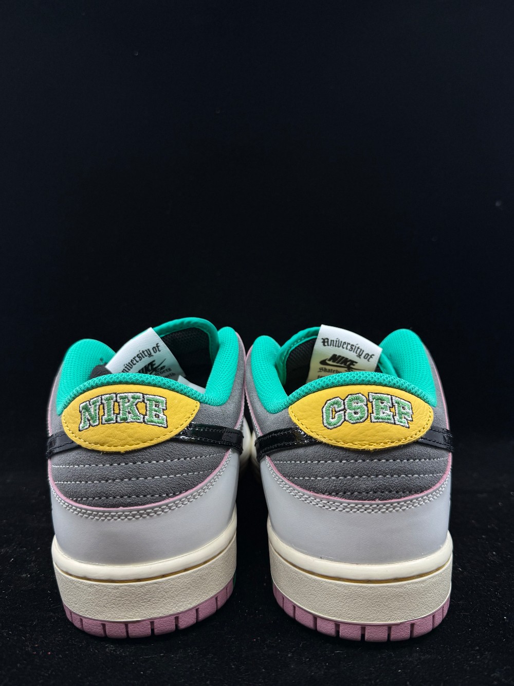 NIKE SB DUNK LOW - CSEF