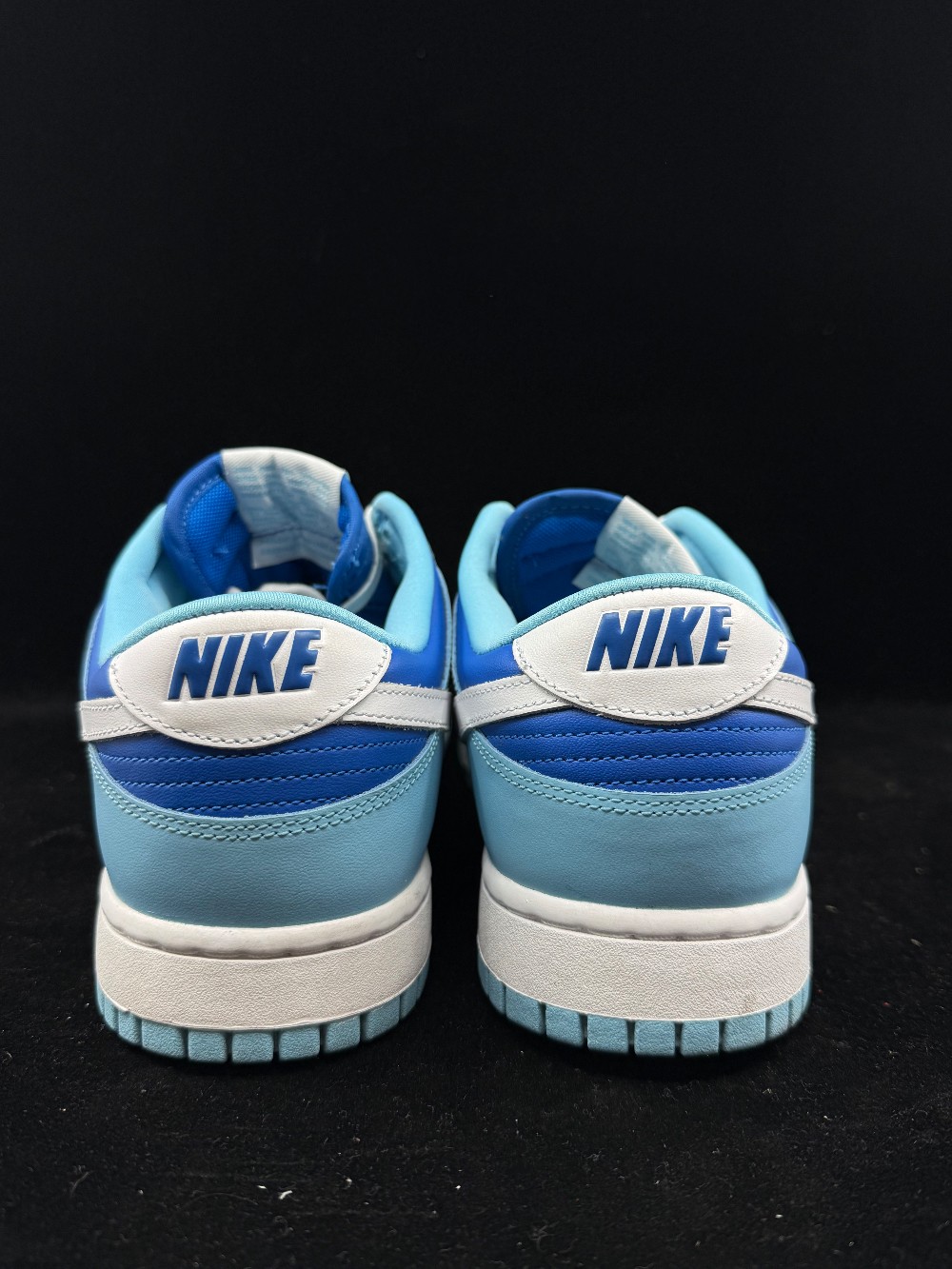 *USED* NIKE DUNK LOW - ARGON (2022)