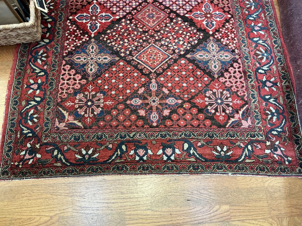 Bachtiari Hand woven wool area rug