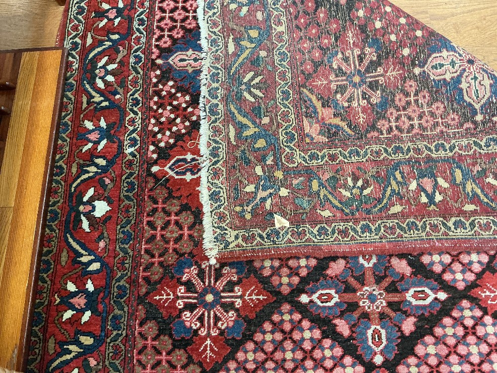 Bachtiari Hand woven wool area rug