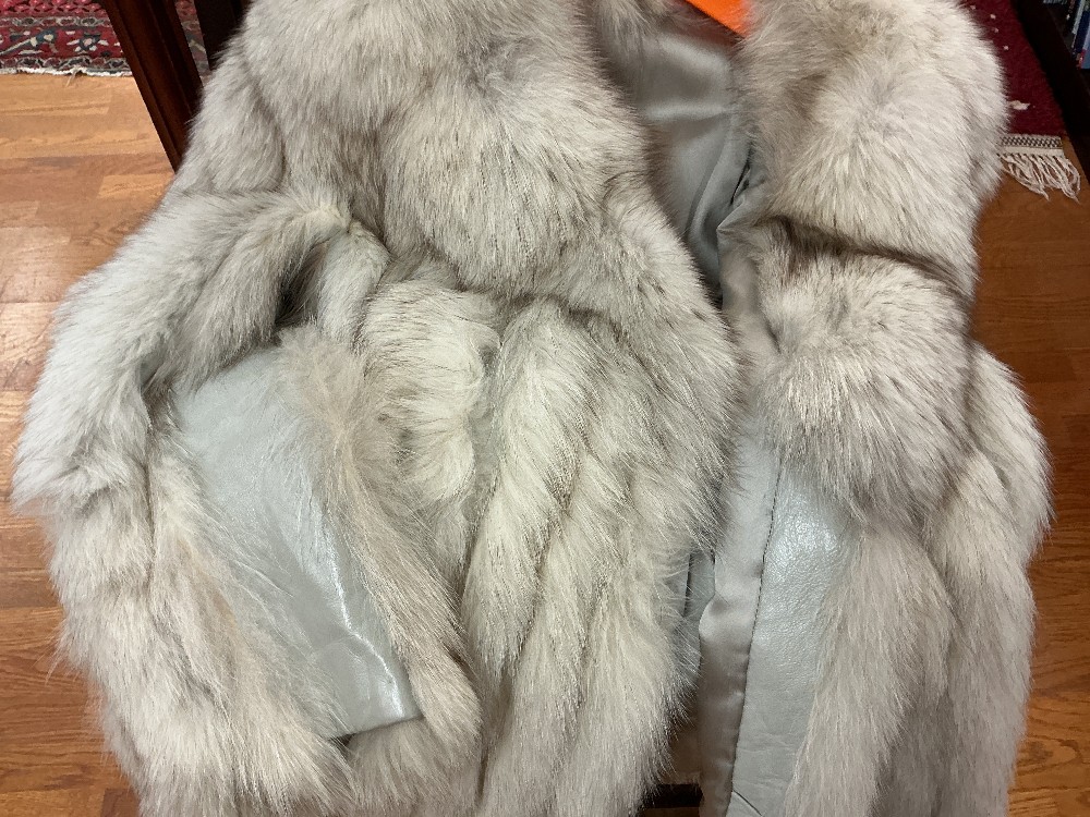 Arctic Gray Fox and Leather Jacket
