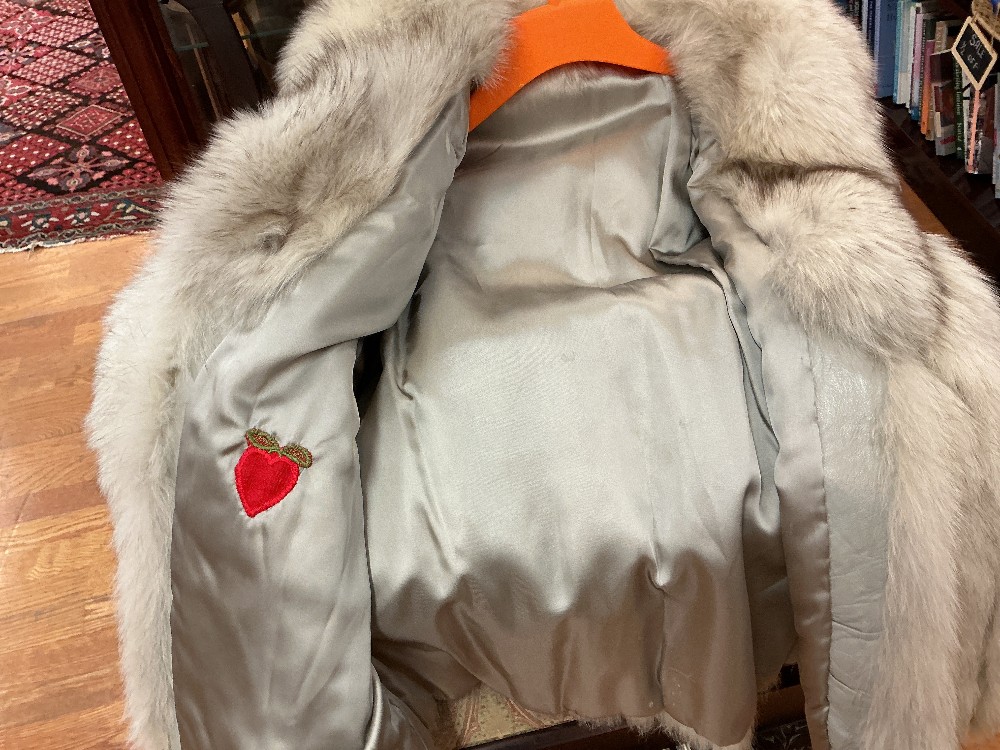 Arctic Gray Fox and Leather Jacket