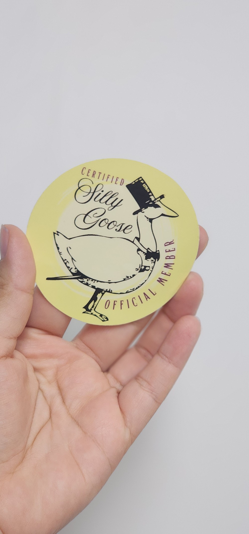 Sticker - Silly Goose