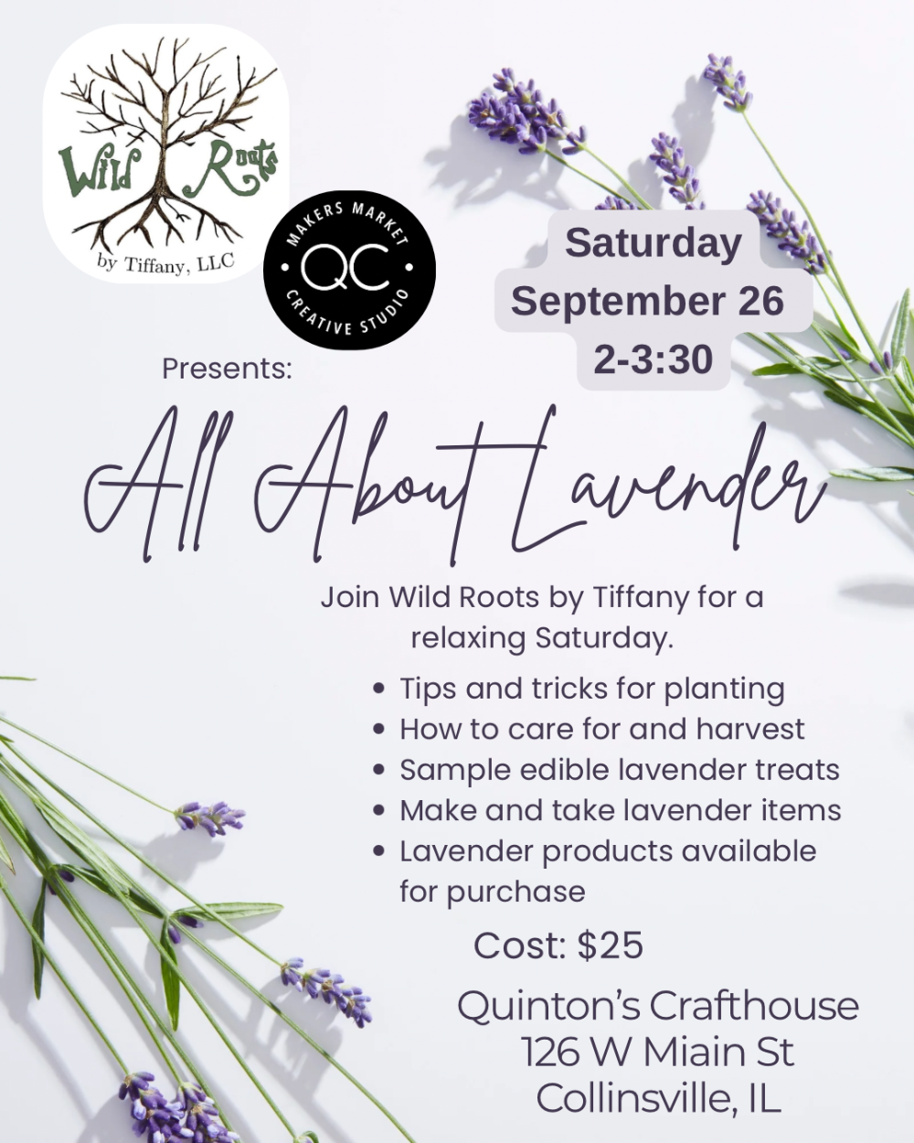 0926 All About Lavender
