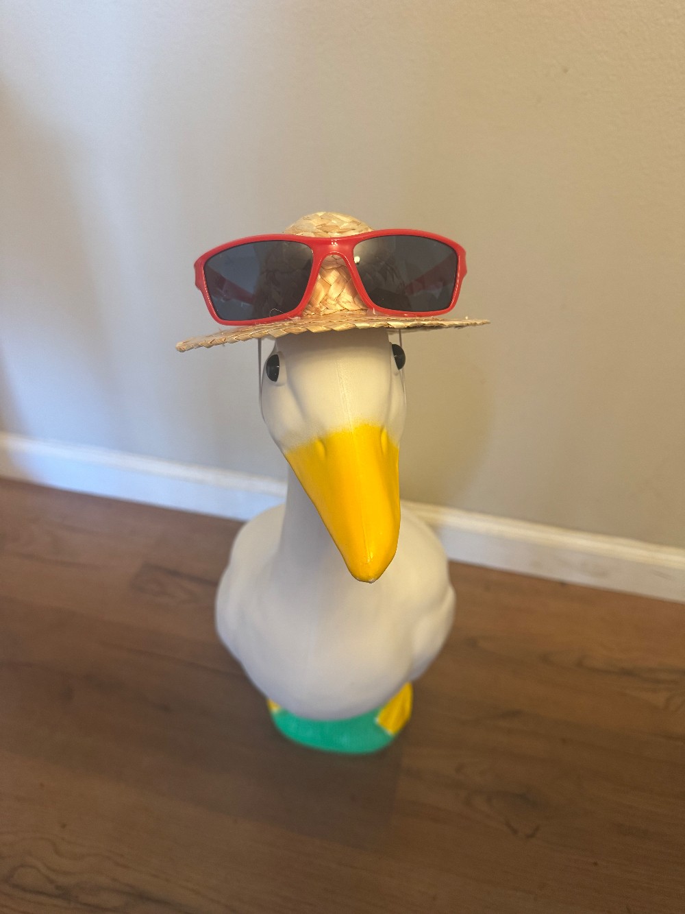 Goose Hat Sunglasses