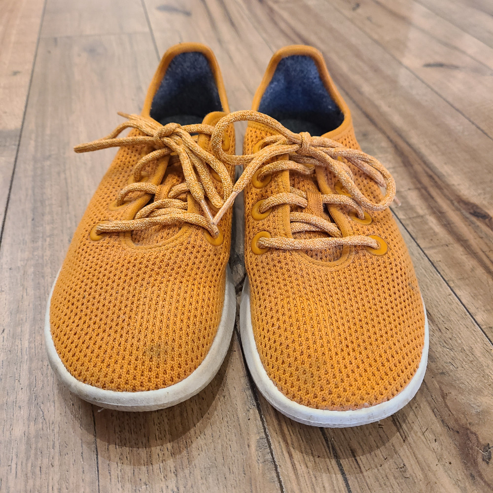 Allbirds Women's Tree Runner Wool Sneakers (7)