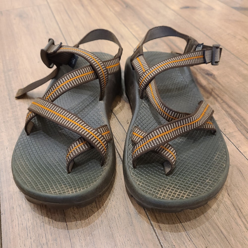 Chaco Men's Z/2 Classic Sandals (9)
