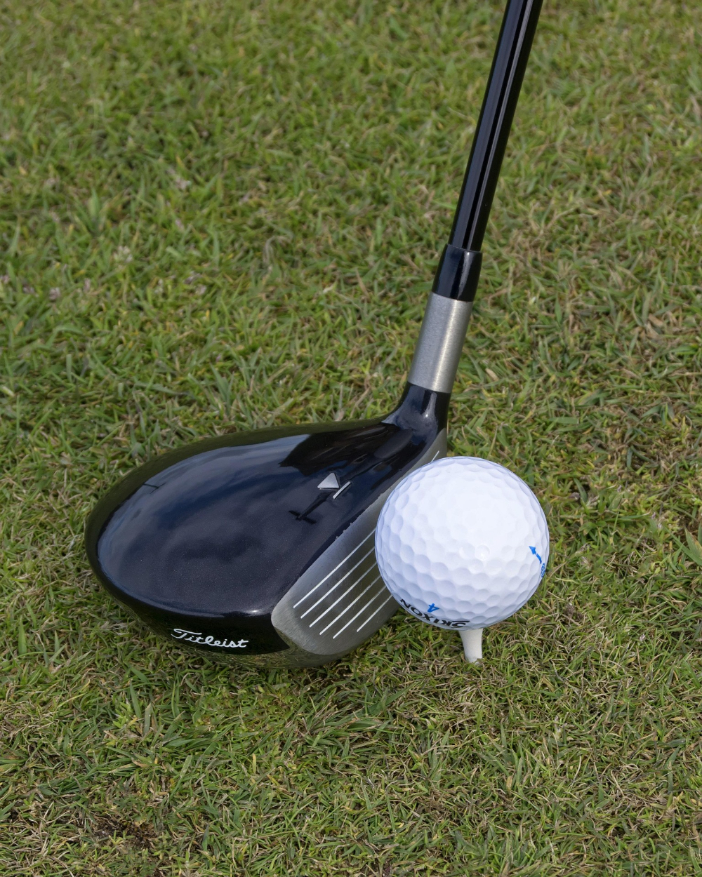 Sports / Sports Gear / Recreational / Games / Puzzles