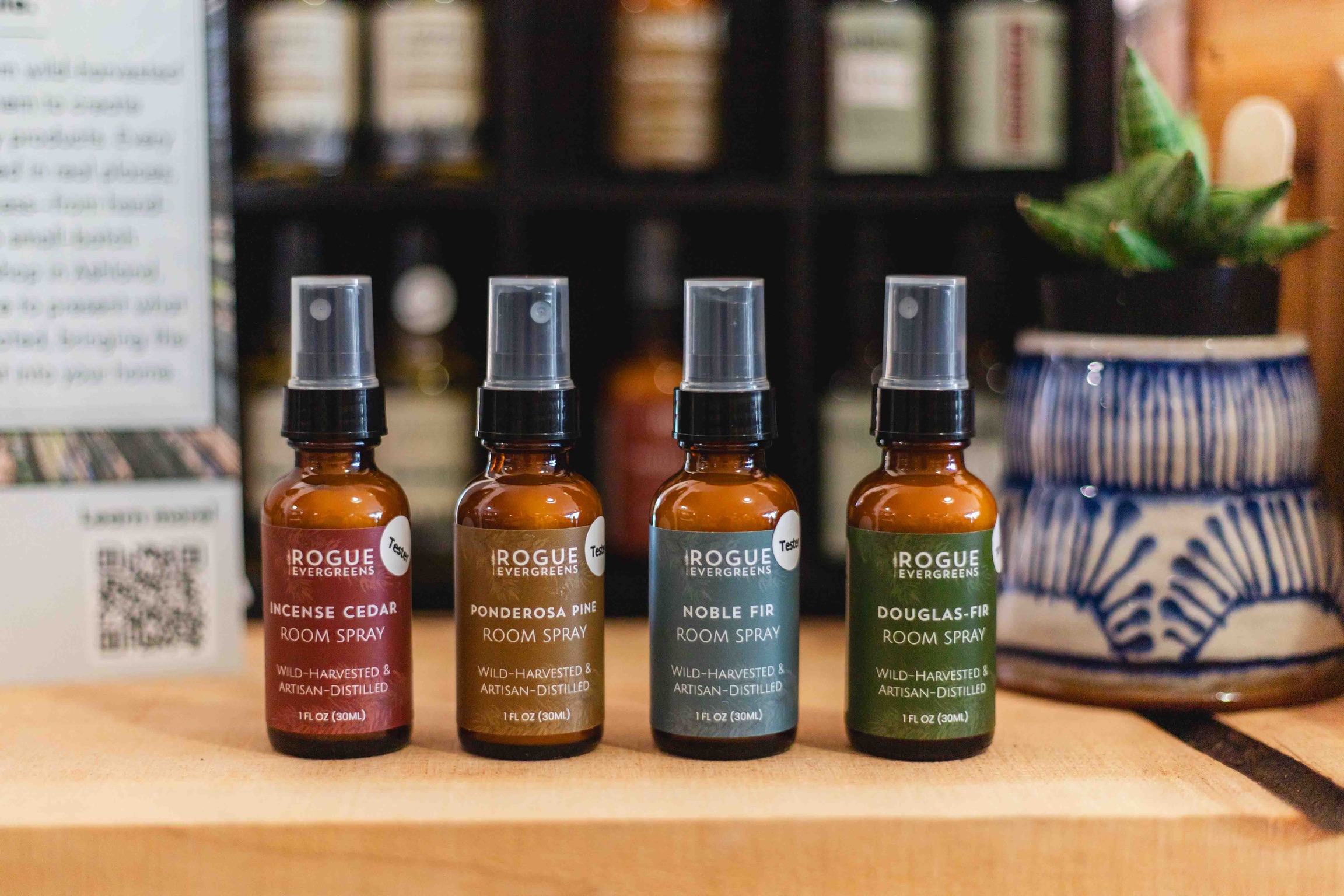 Rogue Evergreens