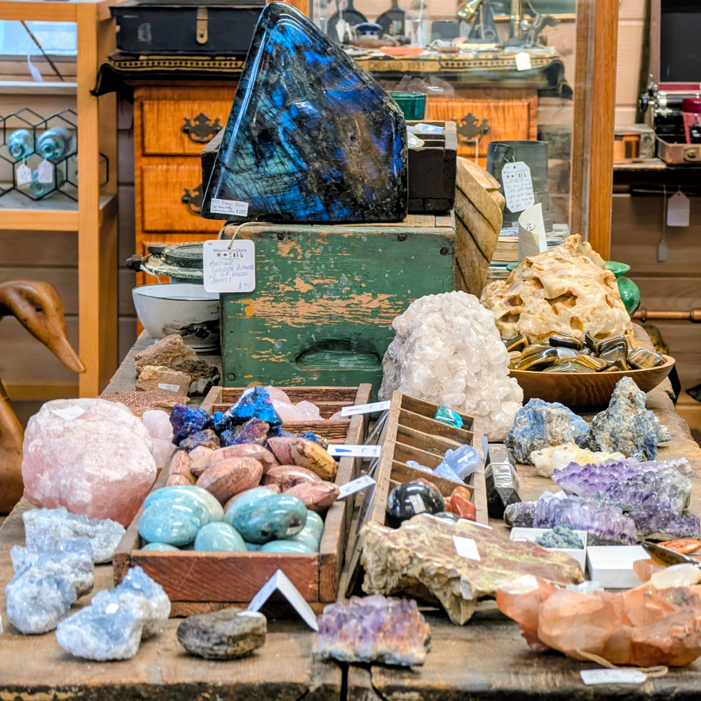 Curiosities & Natural History