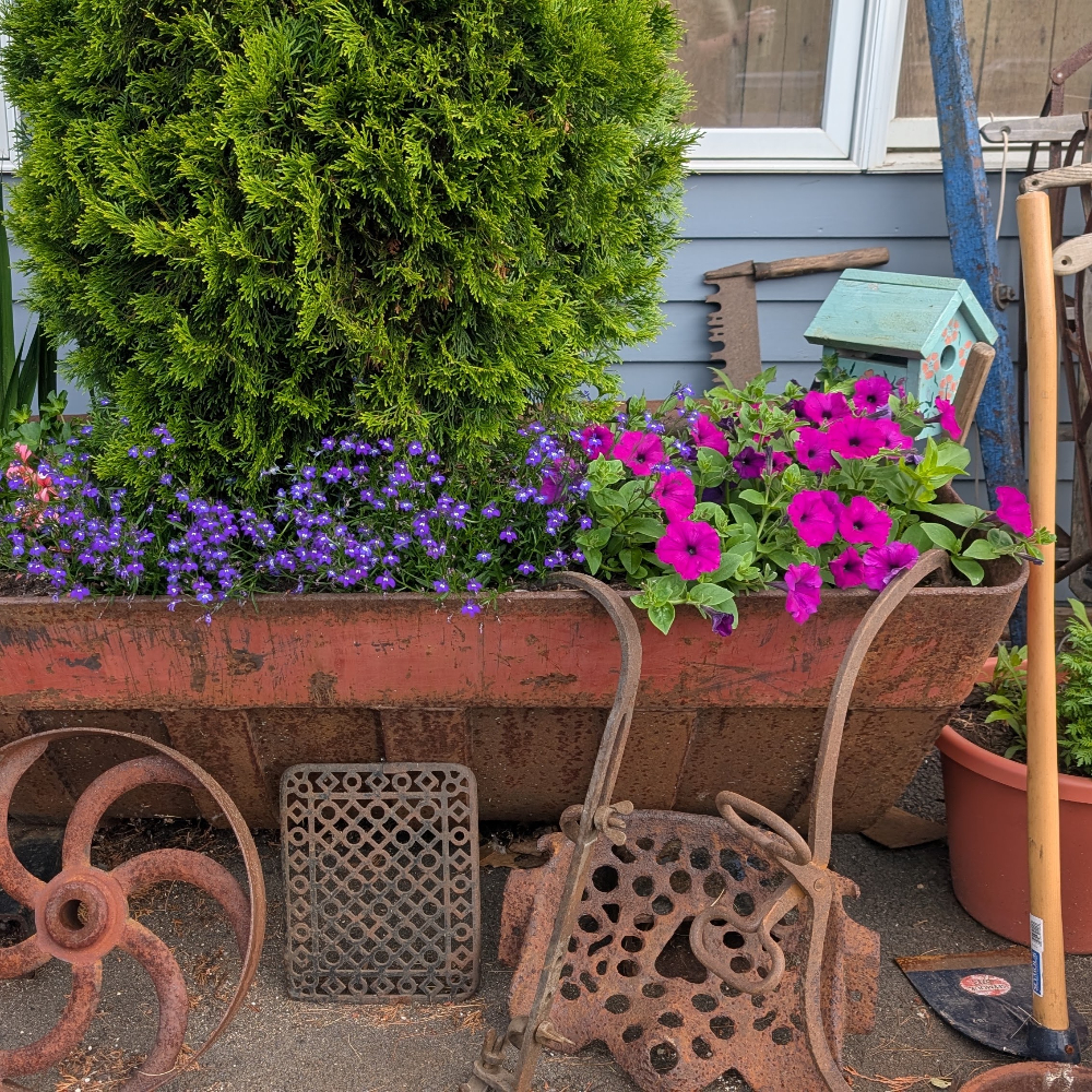 Lawn & Garden