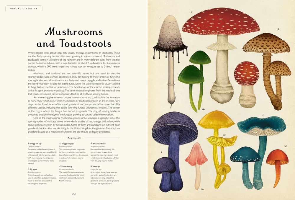 Fungarium - Hardcover