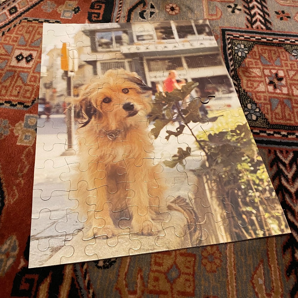 Vintage 1976 Benji Puzzle COMPLETE