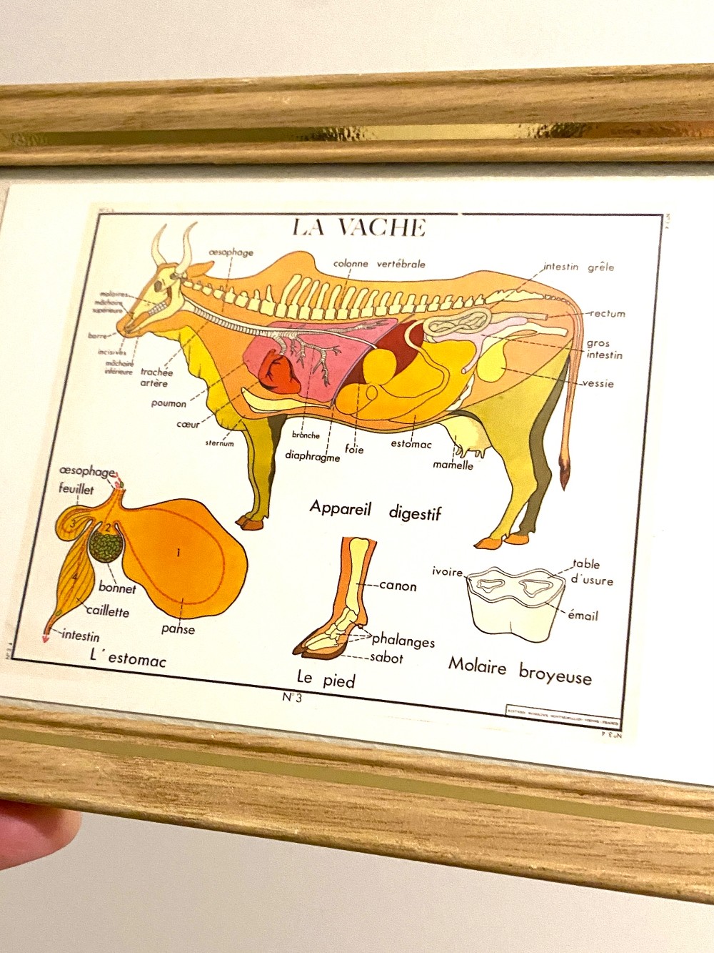 Vintage Frame with La Vache Postcard