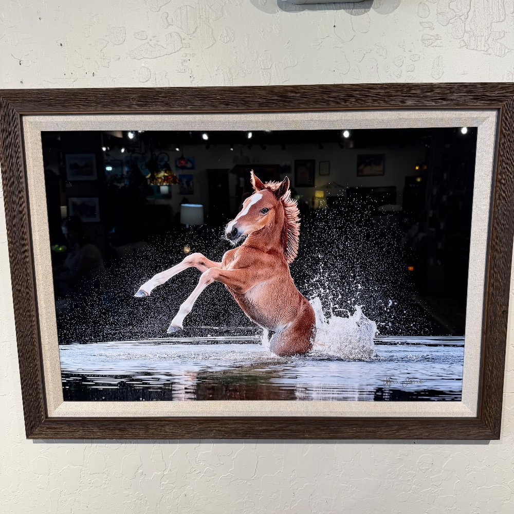 Local Artists