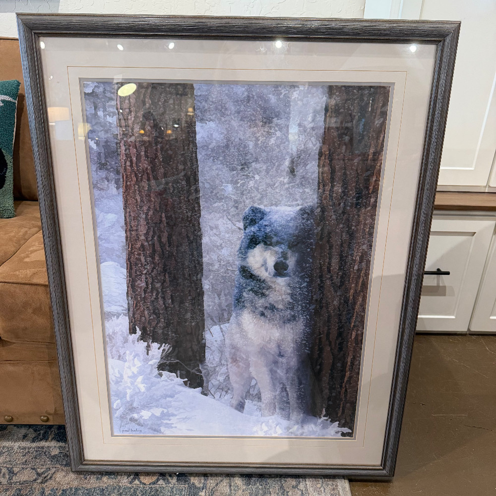 Framed Art