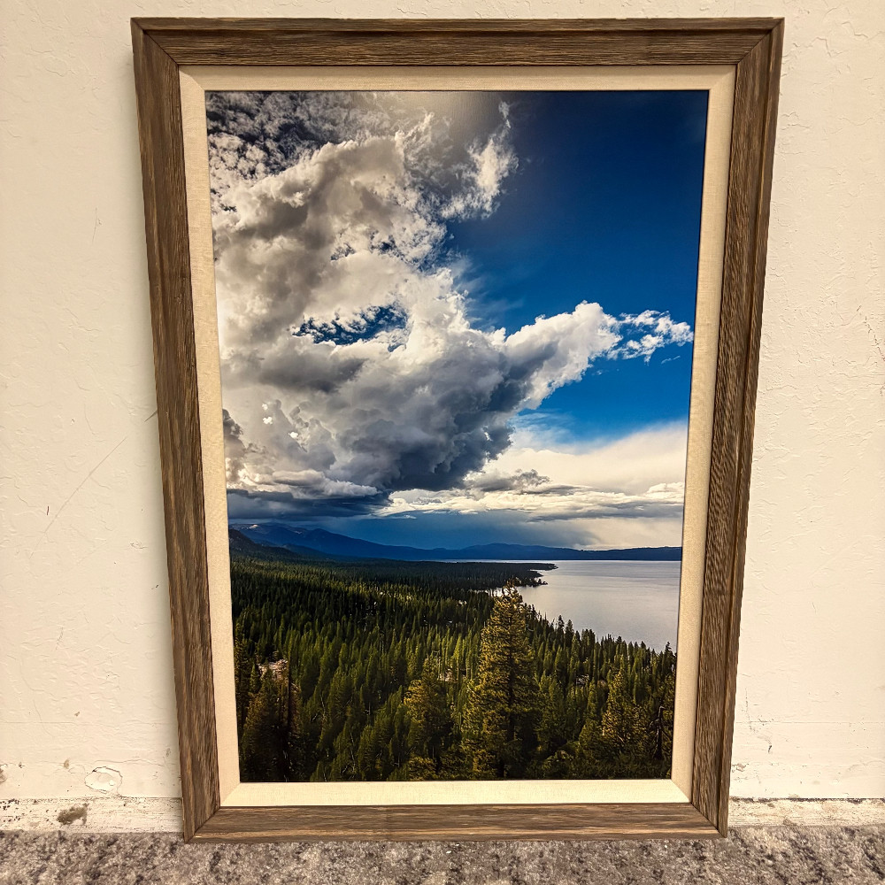 Local Artists