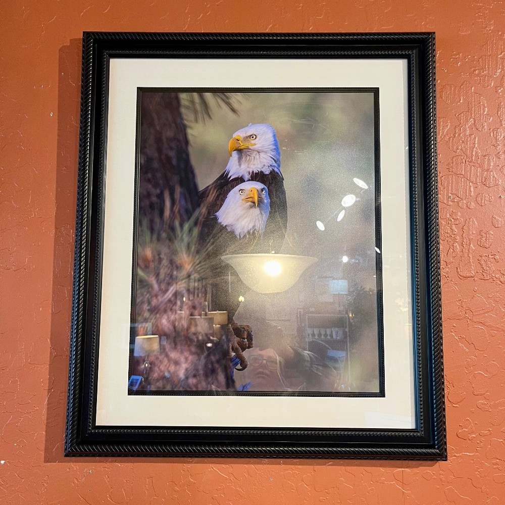 Local Artists
