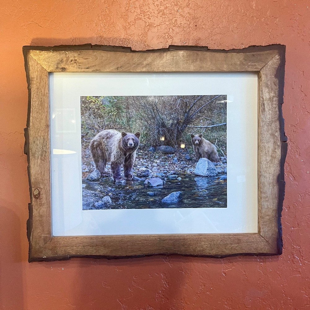 Local Artists